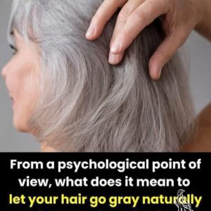 The Silver Rebellion, Why Your Gray Hair is Making Everyone Around You Panic