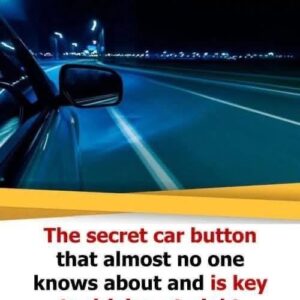 Most Drivers Ignore This Hidden Button That Makes Night Driving Safer
