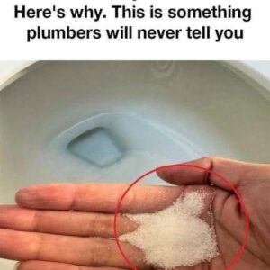 Put salt in your toilet. Here’s why. 