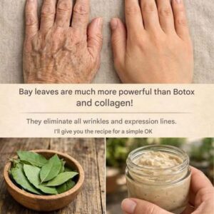 Bay Leaves for Skin Care