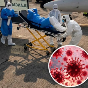 WHO Issues Reassuring Update on Hantavirus Situation, Clarifies Why Pandemic Risk Remains Low