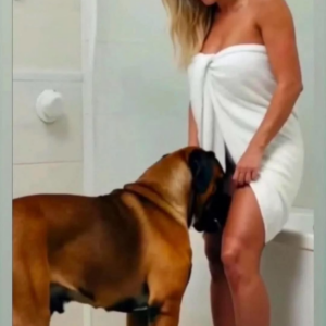 K9 Dog Saves Groom from Deceptive Bridge – Her Hidden Past