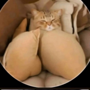 Photos That Prove You Have A Dirty Mind